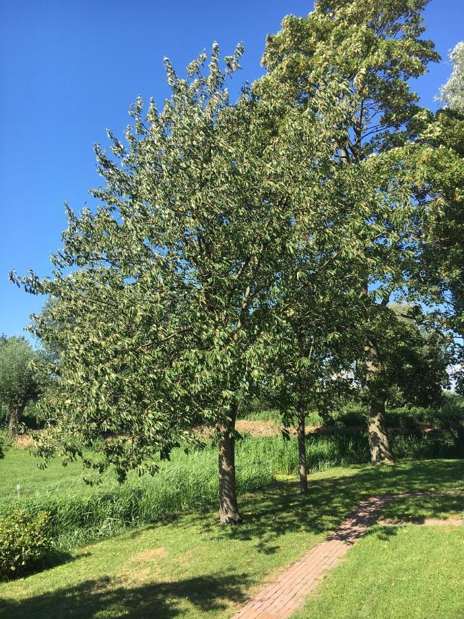 Ruim Appartement In Prachtige Fiets-Wandelomgeving Abcoude Zewnętrze zdjęcie